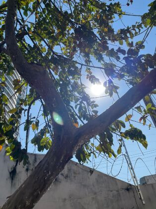 sol cuiabá calor umidade baixa