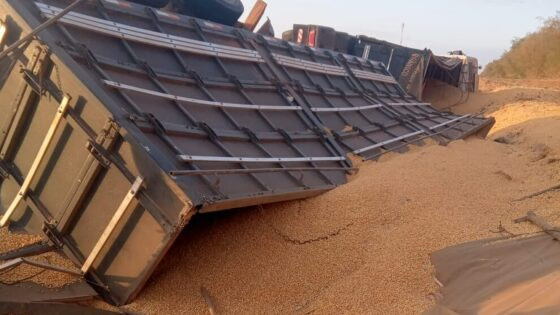 carreta milho tomba sinop