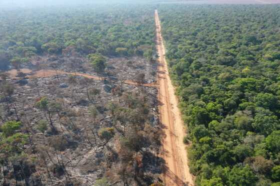 operacao-amazonia-pjc-mt-hnt