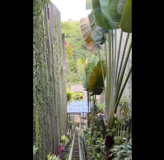 ELEVADOR DESPENCA EM BALI