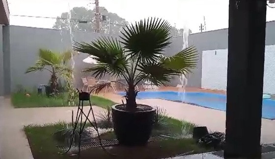 chuva-acorizal-hnt.jpg