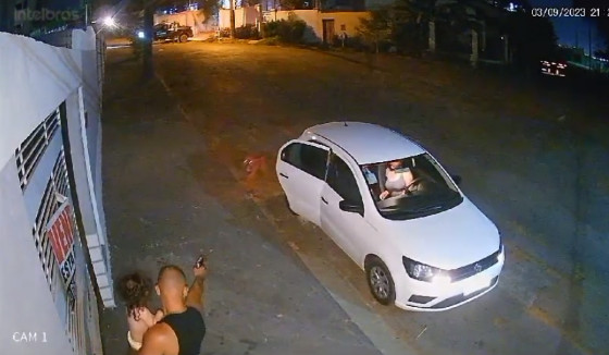 câmera de segurança caso cachorro