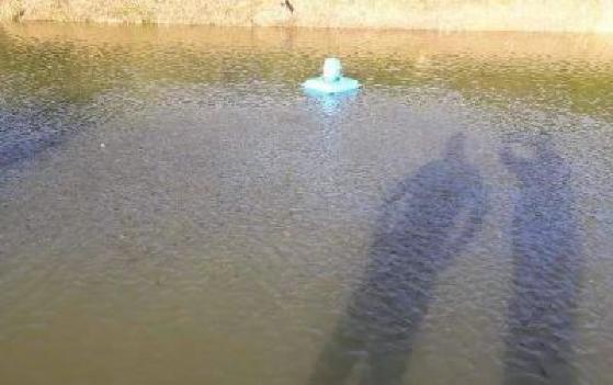 tanque de peixes afogamento criança afogada