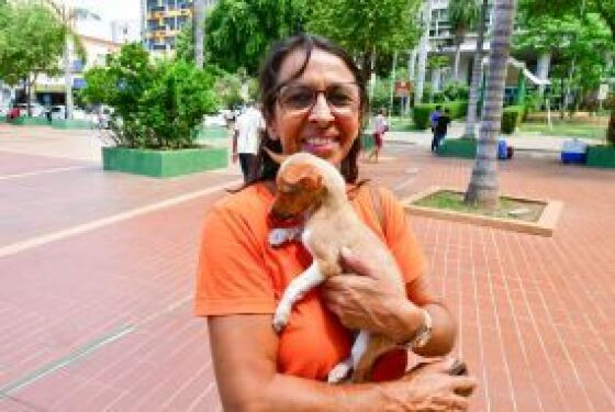 Feira de Adoção de Animais