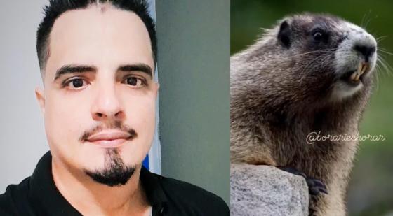 Marmotinha 