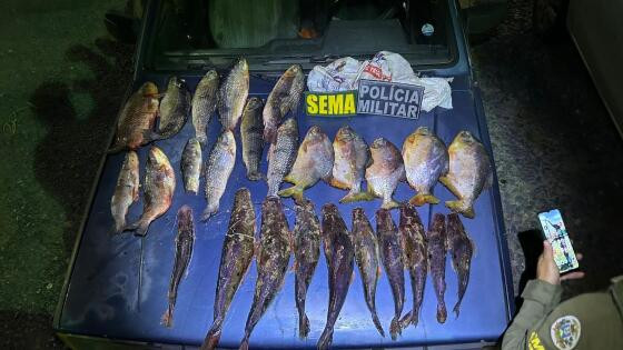 Apreensão pescado