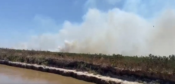 incêndio pantanal 