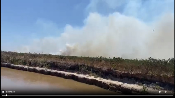Incêndio Pantanal 