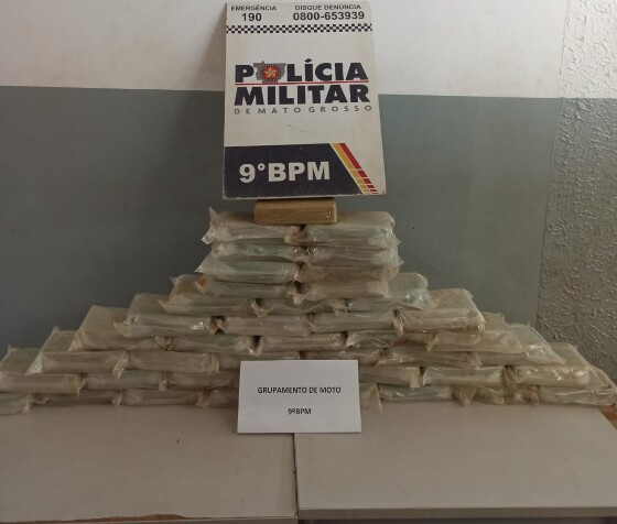 pmmt-hnt.jpeg
