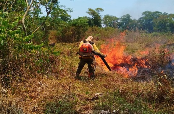 Incêndio Parque Nacional do Pantanal 
