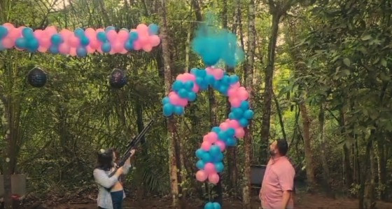 chá revelação arma 