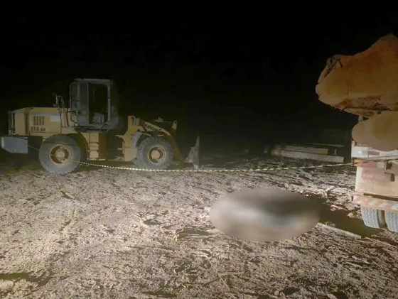 Morto esmagado por tora