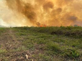 pantanal-incendios-hnt
