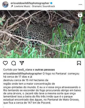 post incendio pantanal erisvaldo almeida.jpeg