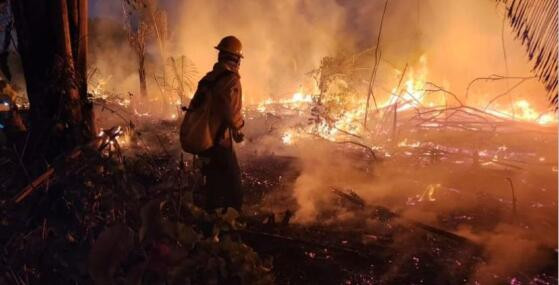 INCENDIO PANTANAL NOTURNO ICMBIO NOV.jpeg