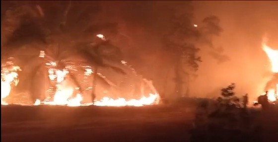 incêndio pantanal 