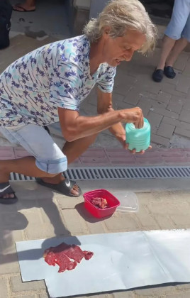 SÓSIA DE JORGE JESUS