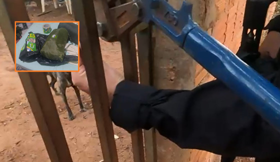 Lesa Pátria cumprimento de mandado em Cáceres