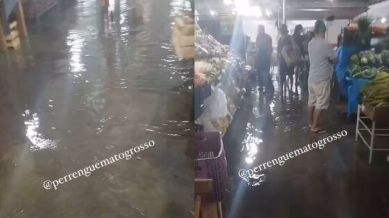 Alagamento Feira do Porto 