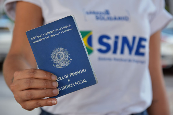carteiradetrabalho-hnt