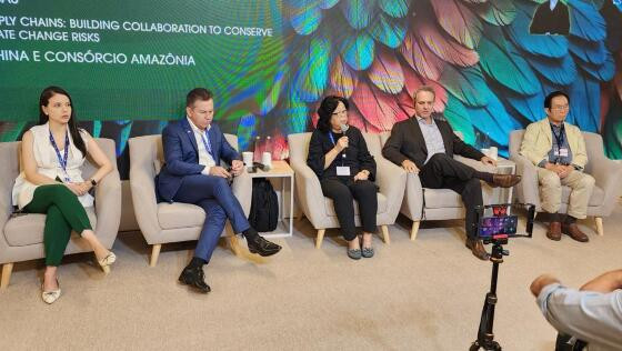 Painel com governador na COP 28
