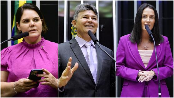 Coronel Fernanda, José Medeiros, Amália Barros, bolsonaritas, MT