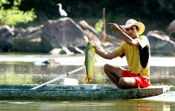 Pesca