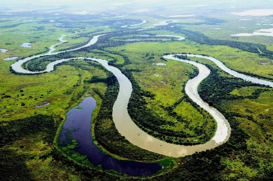 Pantanal