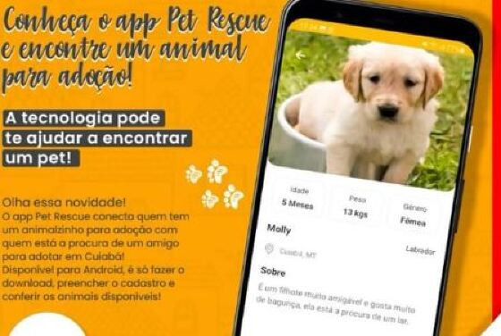 pet rescue
