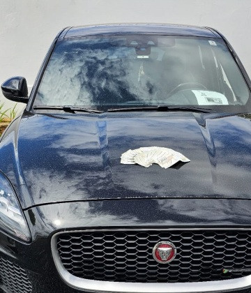 jaguar apreendido.jpeg