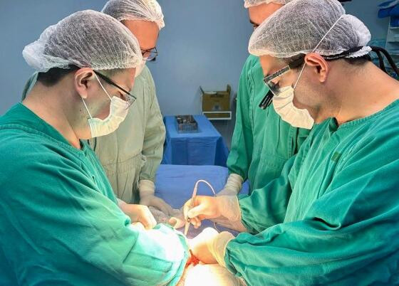 Captação foi realizada no Hospital Regional de Sinop