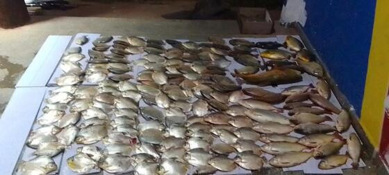 119 kg de peixes apreendidos