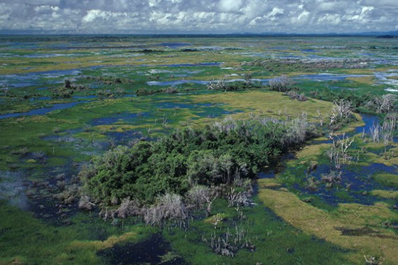 Pantanal em MS