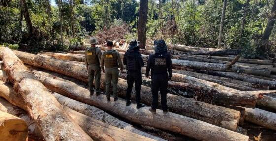 Operação Amazônia 