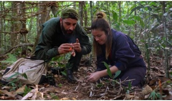 Saga do Discovery em Peixoto de Azevedo