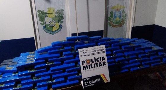 drogas apreendidas pm