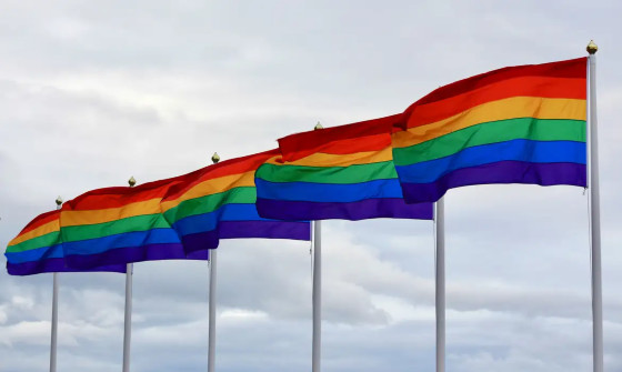 casamento homoafetivo