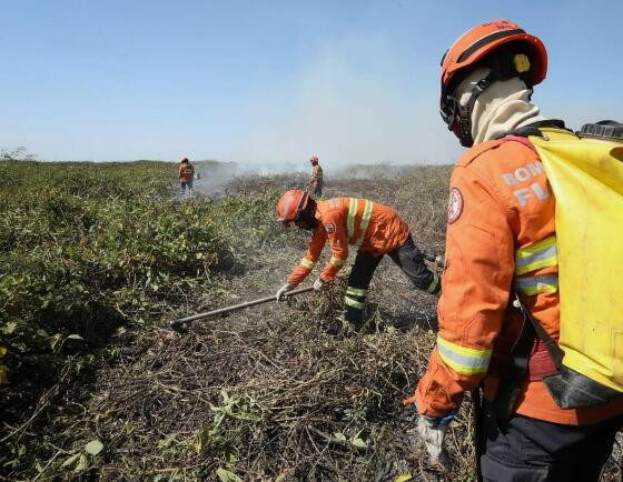 Fogo no Pantanal