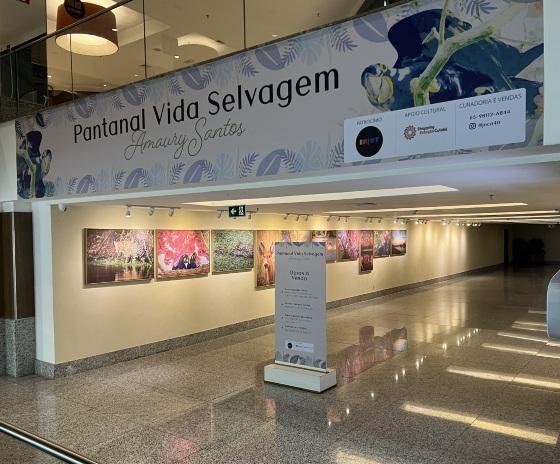 EXPOSIÇÃO DE FOTOS