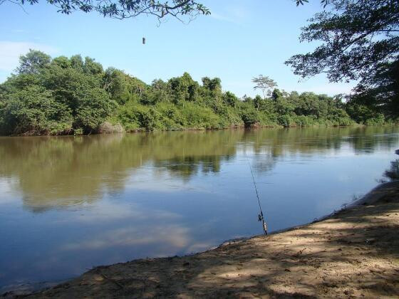 RIO JAURU