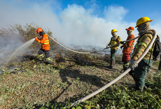 Incêndio Pantanal Cáceres 