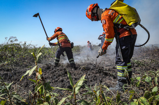 Brigadistas Bombeiros