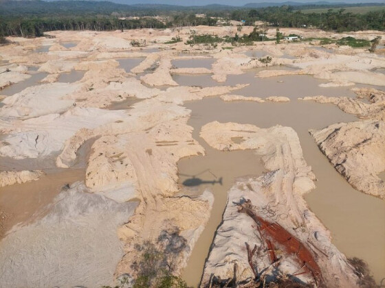 Garimpo em Sarará