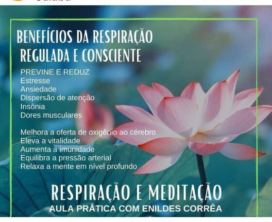 aula Yoga