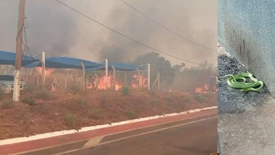 Incêndio estrada de chapada sexta-feira