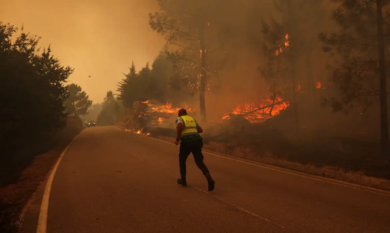 incendio Portugual