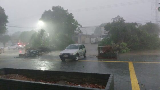 Temporal Alta Floresta