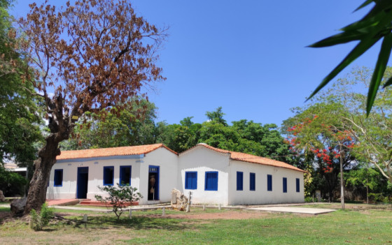 MUSEU HISTÓRIA NATURAL