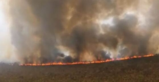 incendio chapada