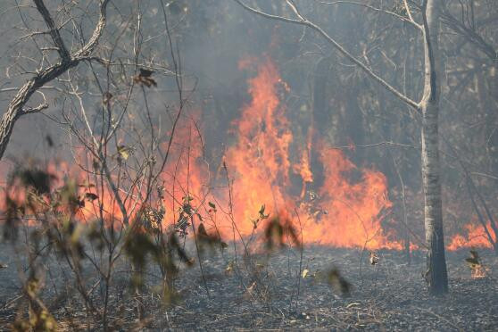 Incêndio Acorá